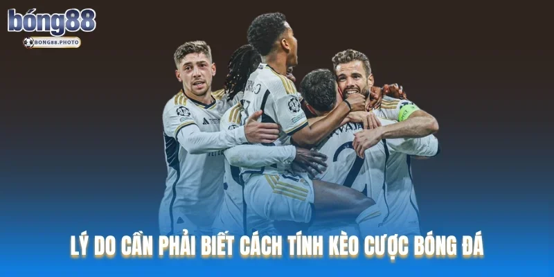 Cách Tính Kèo Chuẩn Xác Khi Cá Cược Bóng Đá Bong88 1 Giải đáp lý do cần phải biết cách tính kèo cược bóng đá