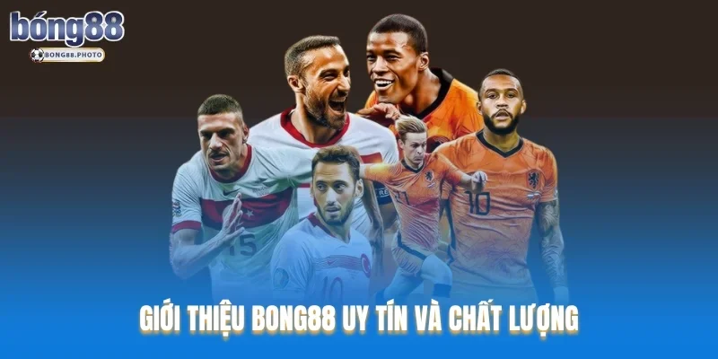 Giới Thiệu Bong88: Nhà Cái Thể Thao Uy Tín Hàng Đầu 1 Giới thiệu Bong88 uy tín và chất lượng